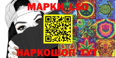 СК Рязань