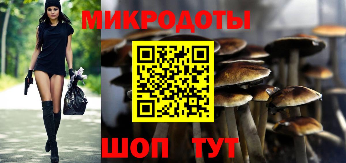 Псилоцибиновые грибы MAGIC MUSHROOMS  закладки  Ахтубинск  Вход с VPN 